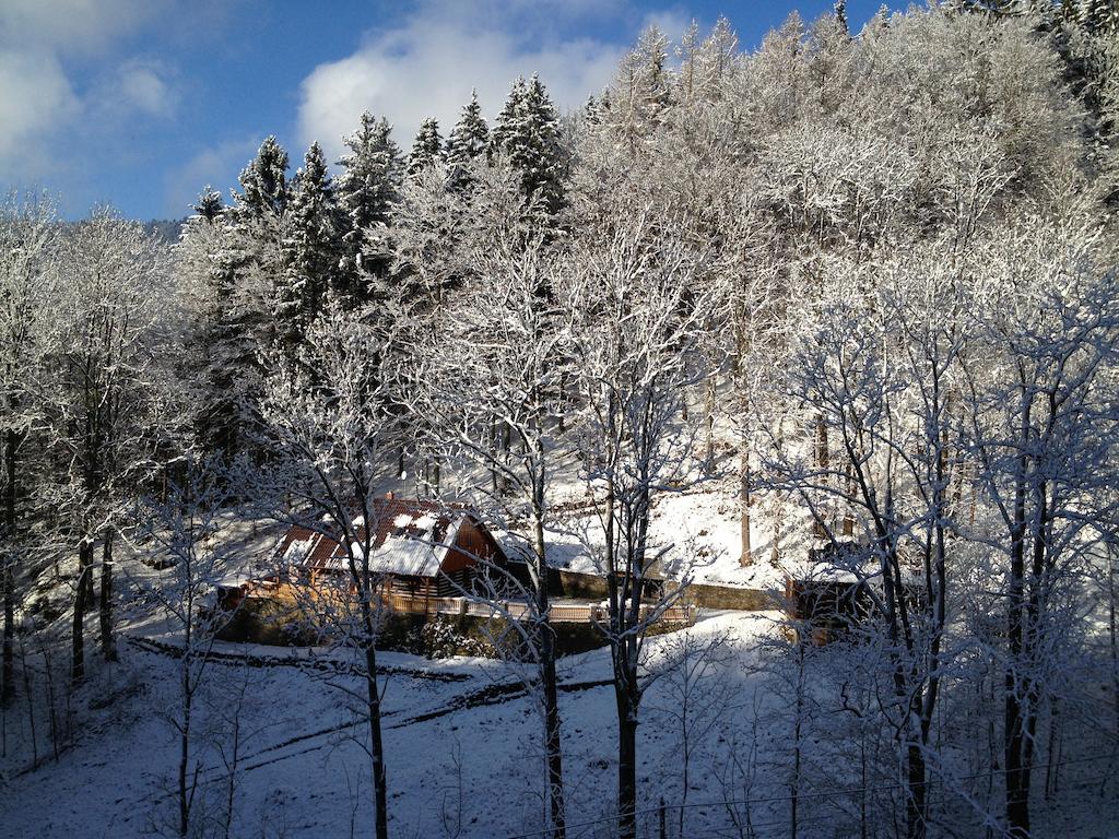 Chata Hokejka Rokytnice nad Jizerou Esterno foto
